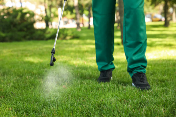 Best Termite Control Services  in Arcadia, FL