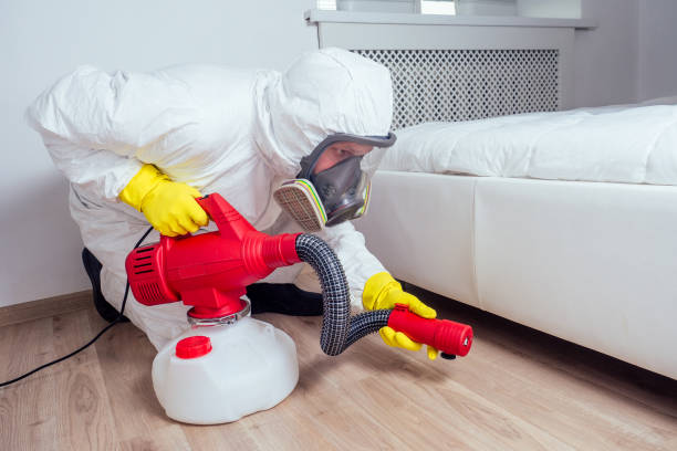 Best Flea Control Services  in Arcadia, FL