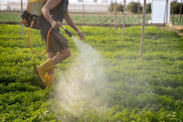 Best Pest Removal Services  in Arcadia, FL