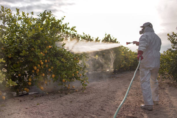 Best Affordable Pest Control Services  in Arcadia, FL