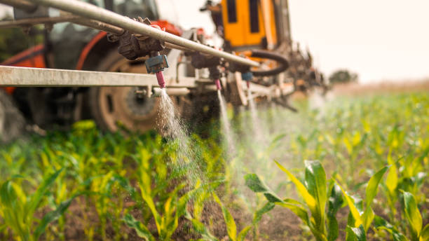 Pest Control Cost in Arcadia, FL